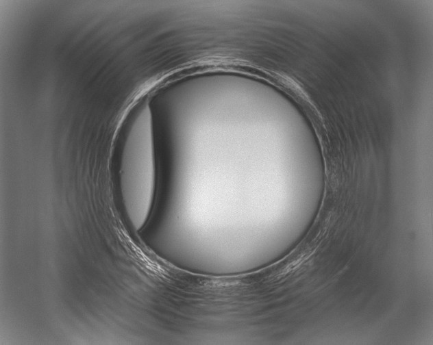 X0000057080831200509090910