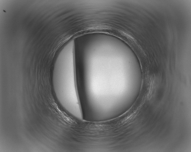 X0000057080833200509090910