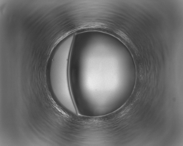 X0000057080834200509090910