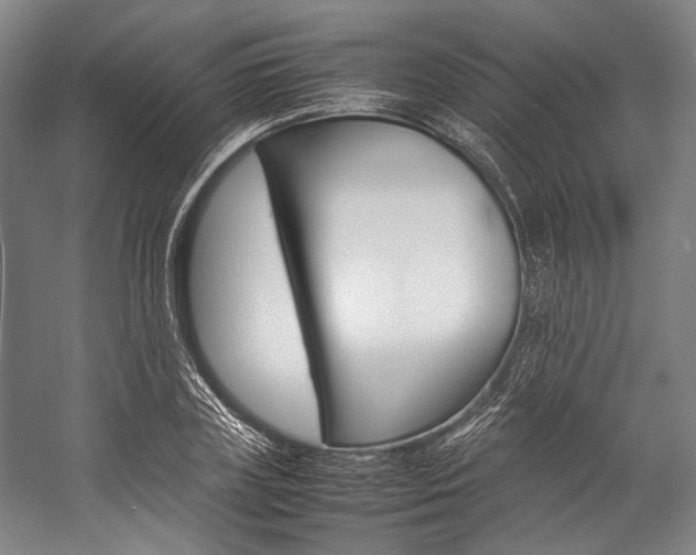 X0000057080835200509090910