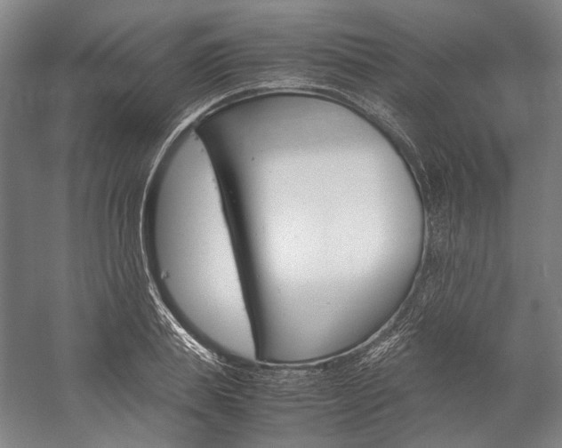 X0000057080839200509090910