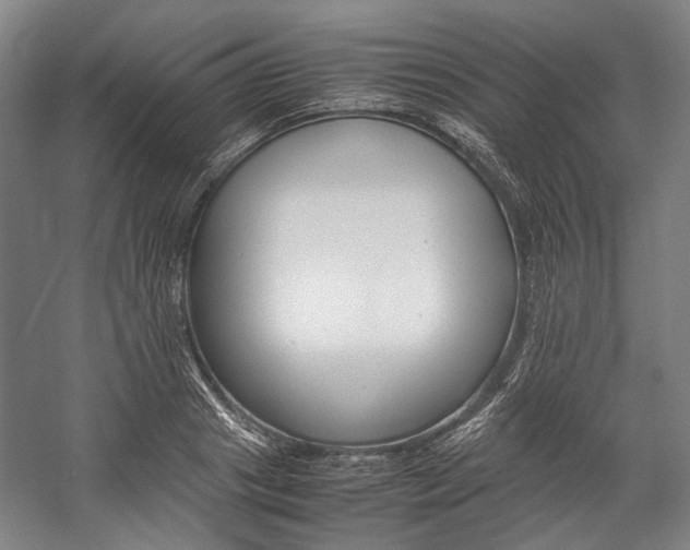 X0000057080841200509090910