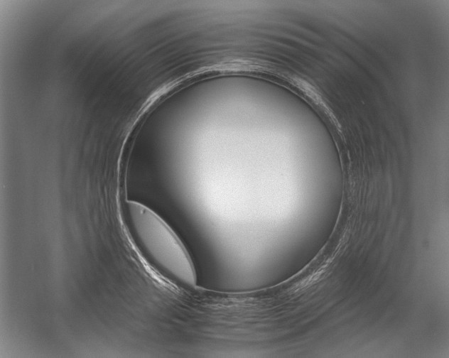 X0000057080845200509090910