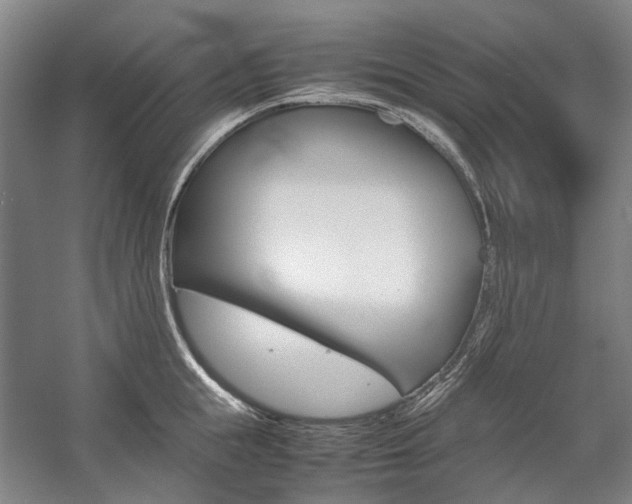 X0000057080855200509090911