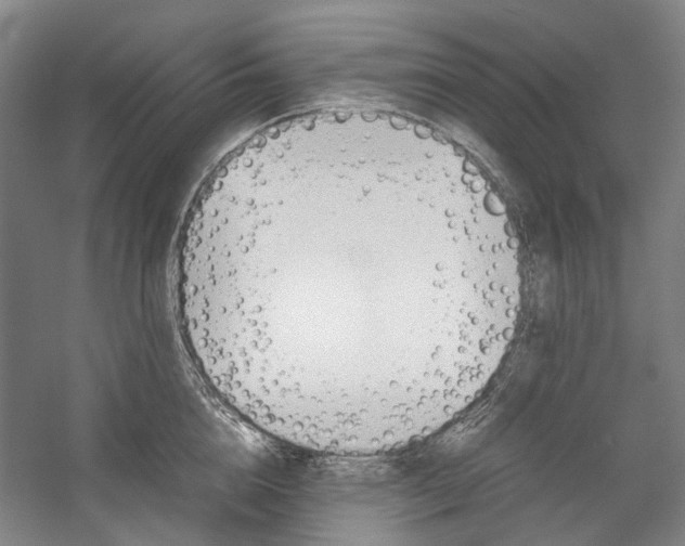 X0000057080856200509090911