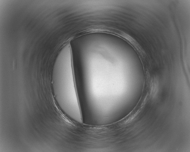 X0000057080857200509090911