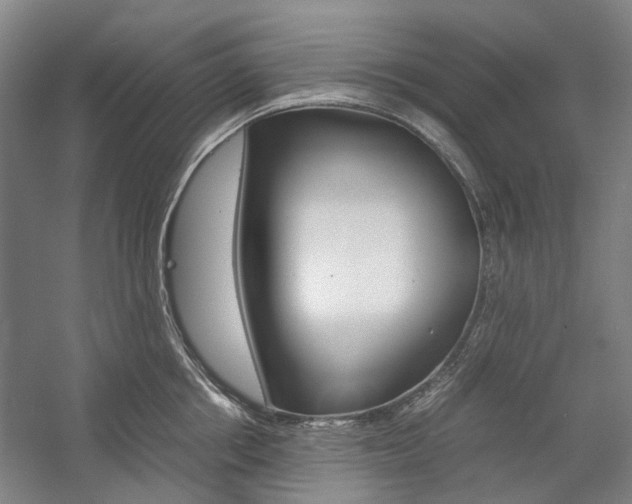 X0000057080858200509090911