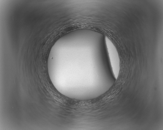 X0000057080865200509090910