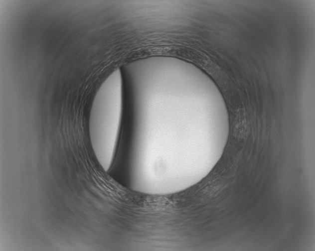 X0000057080866200509090910
