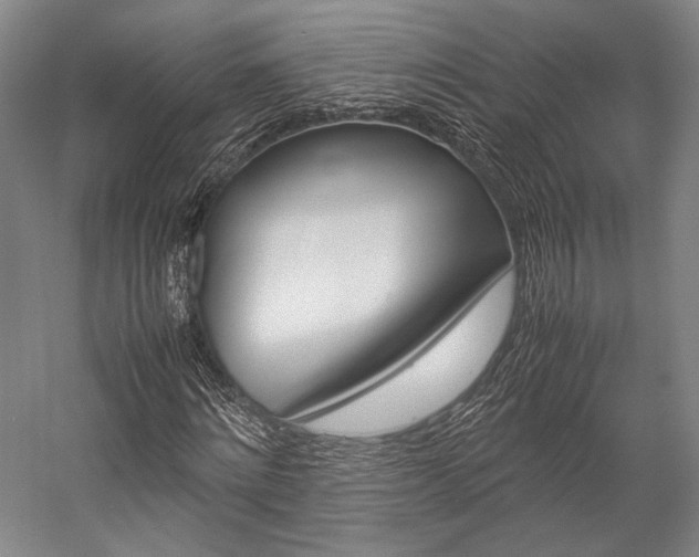 X0000057080868200509090910