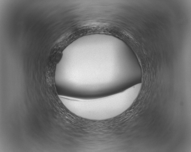 X0000057080869200509090910