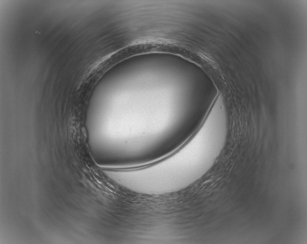 X0000057080872200509090910