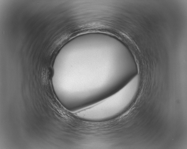 X0000057080873200509090910