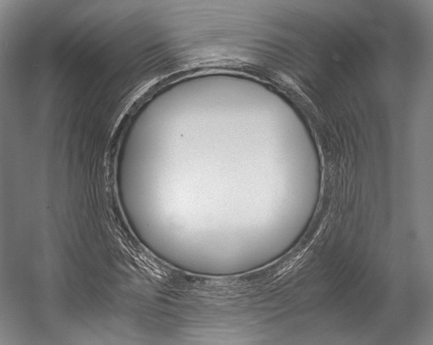 X0000057080875200509090910
