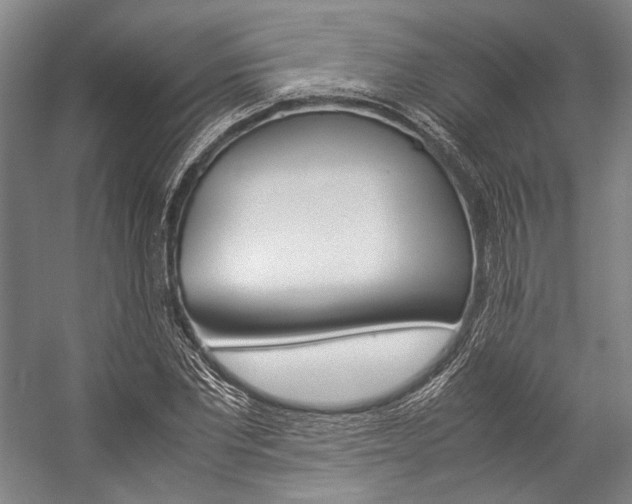 X0000057080877200509090910