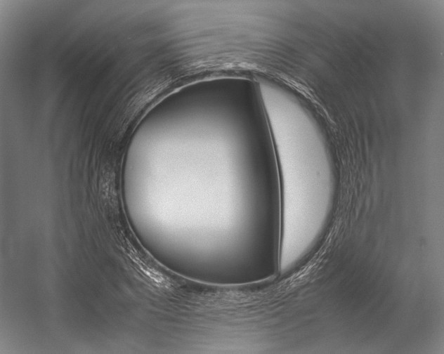 X0000057080881200509090910