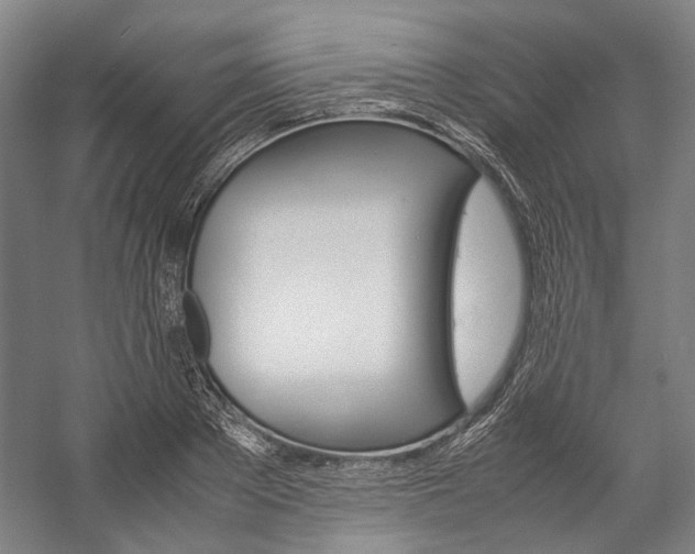 X0000057080889200509090910