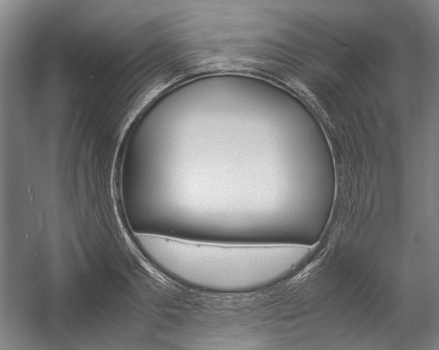 X0000057080893200509090910