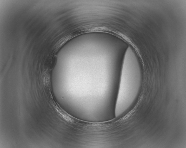 X0000057080897200509090909