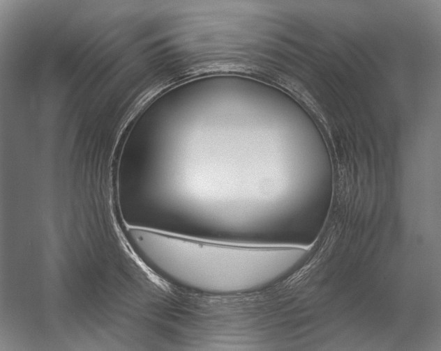 X0000057080898200509090909