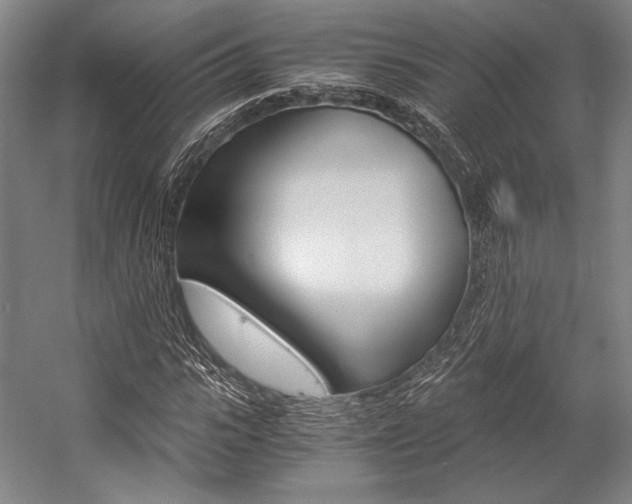 X0000057080919200509090908