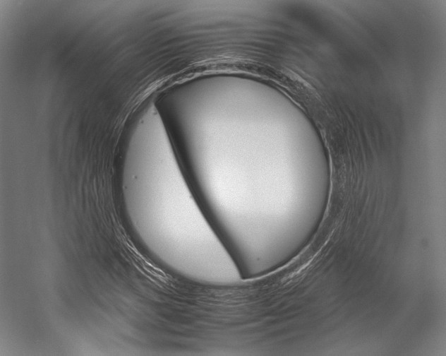 X0000057080921200509090909
