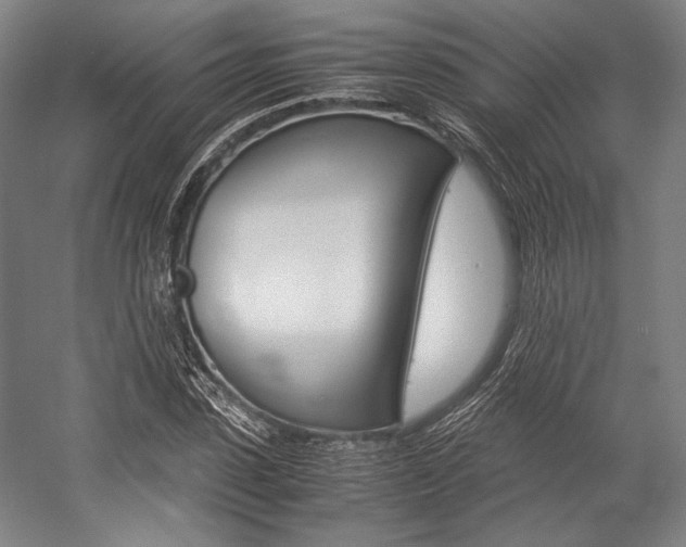 X0000057080923200509090909