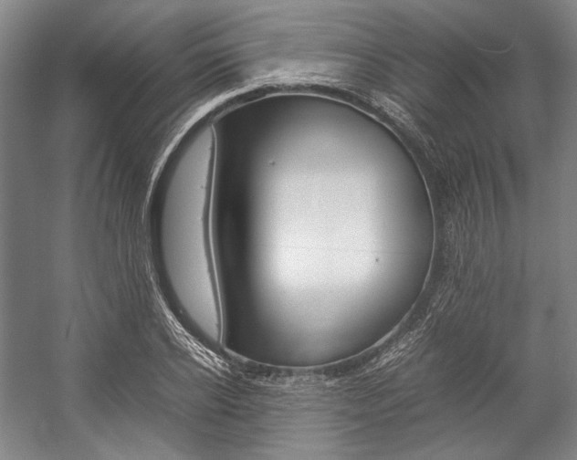 X0000057080934200509090909