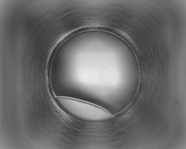 X0000057080935200509090909