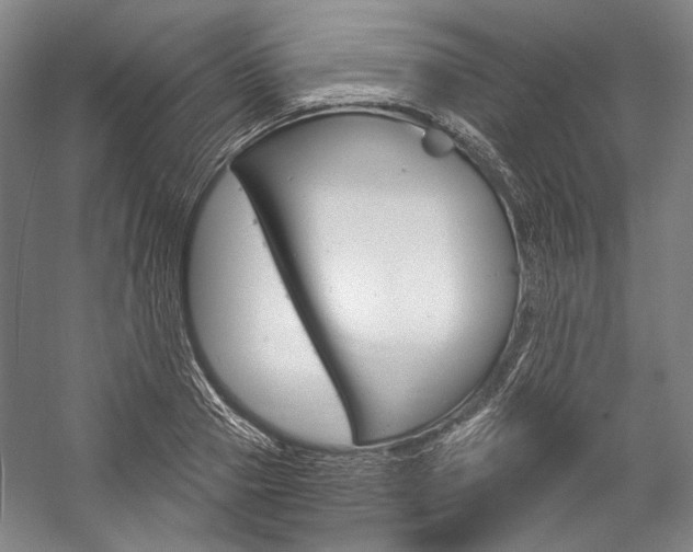 X0000057080937200509090909