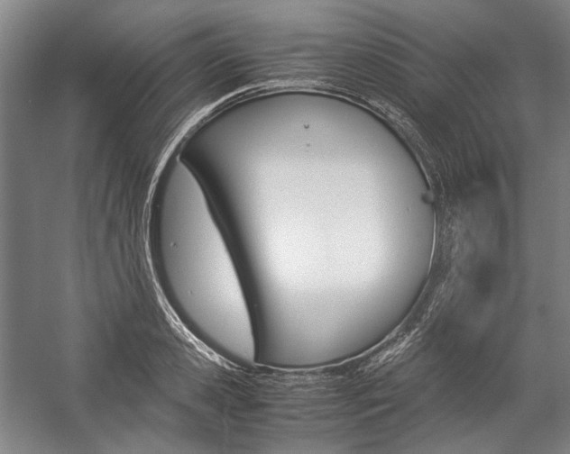 X0000057080941200509090909