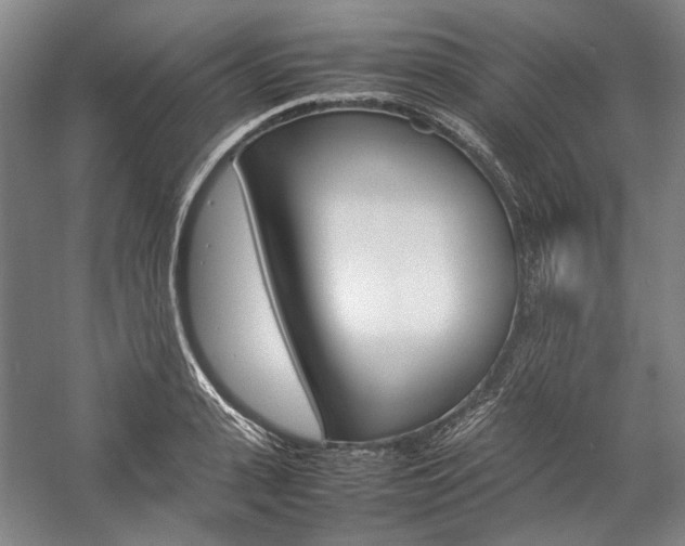 X0000057080943200509090909