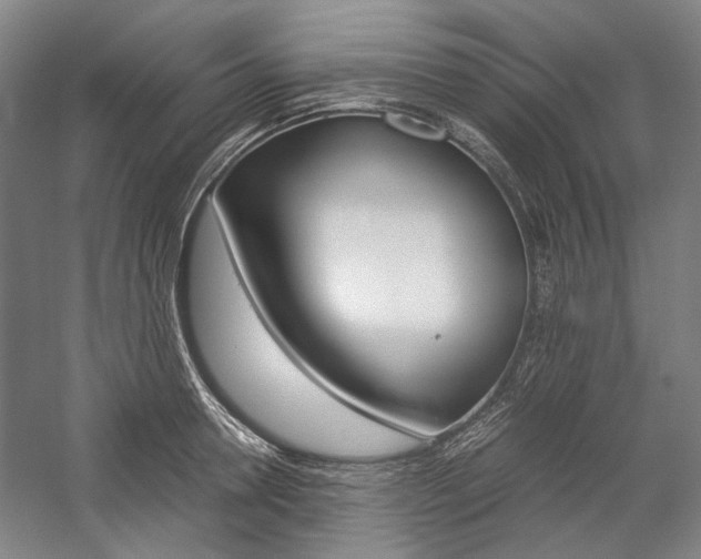 X0000057080946200509090909