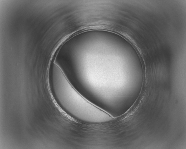 X0000057080949200509090909
