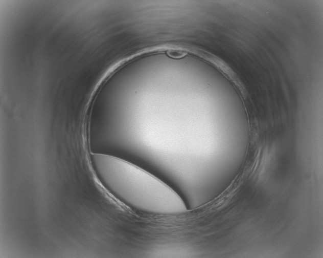 X0000057080958200509090909