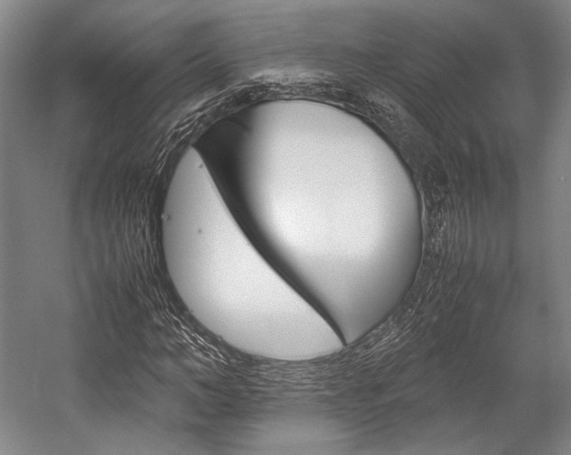 X0000057080966200509090908