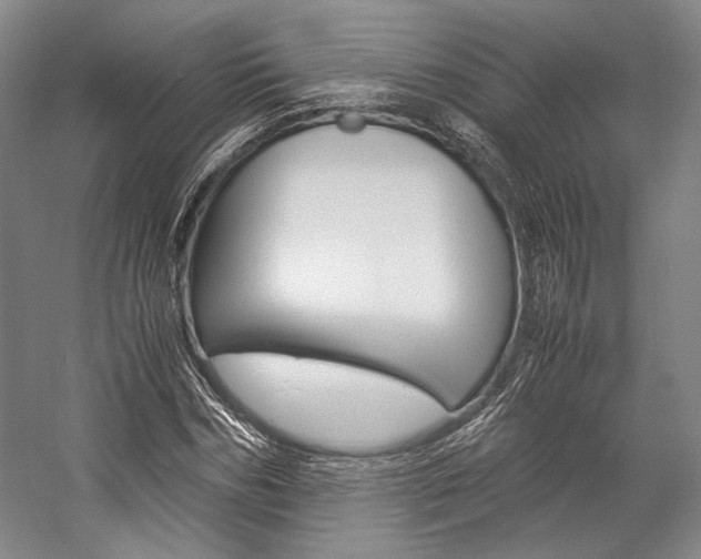 X0000057080970200509090908