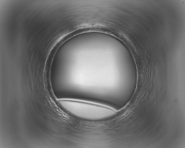 X0000057080975200509090908