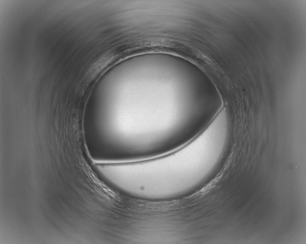 X0000057080977200509090908