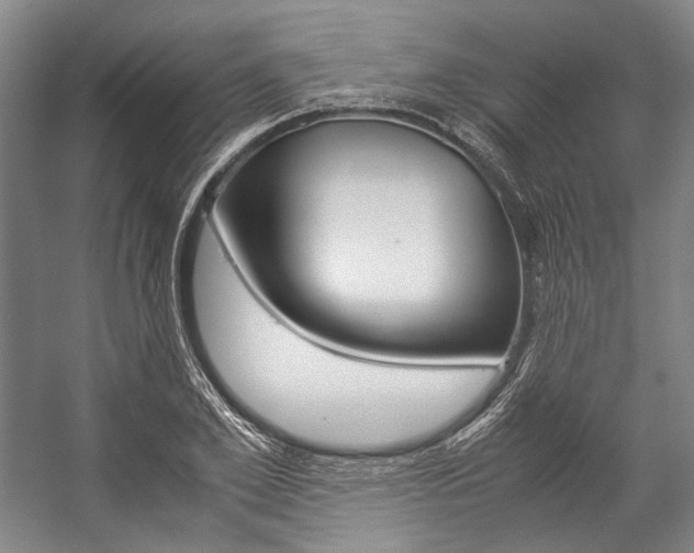 X0000057080981200509090908