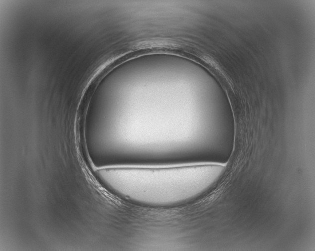 X0000057080983200509090908