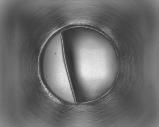 X0000057080984200509090908