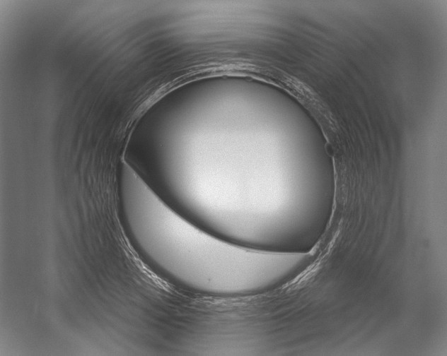 X0000057080985200509090908