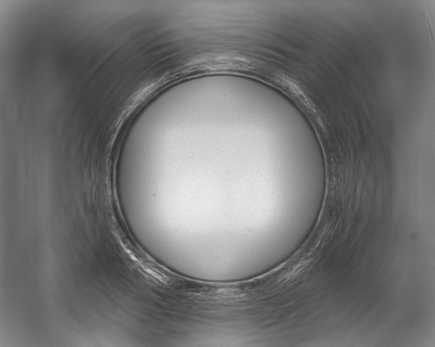 X0000057080986200509090908
