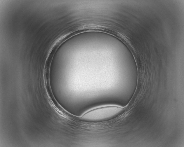 X0000057080987200509090908