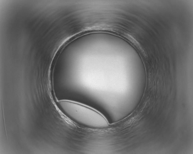 X0000057080988200509090908