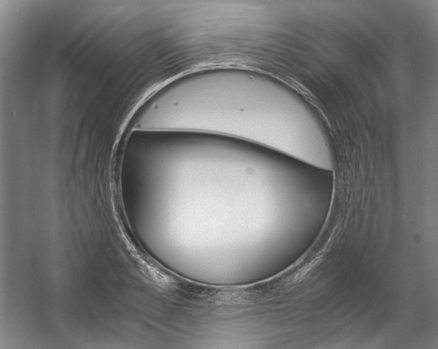 X0000057080989200509090908