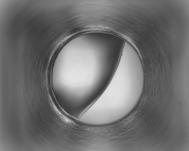 X0000057080995200509090908