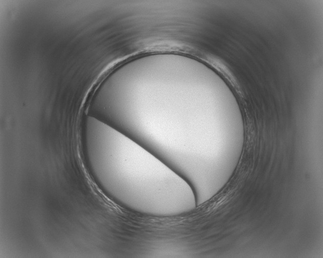 X0000057081000200509090908
