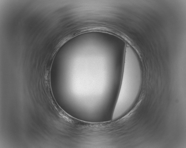 X0000057081001200509090908